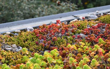 the cost of Groeslon green roof installation