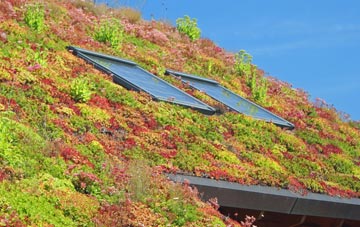 Groeslon living roof systems