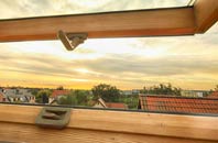 rated Groeslon roof window companies